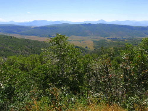 Scenic Overlook of Battle Creek Valley.